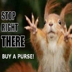 Buy A Purse Today